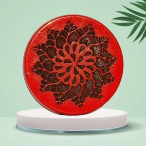 NHD Professional Carrom Striker 789 - Tournament Ready