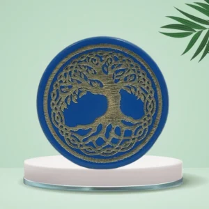 NHD Professional Carrom Striker 806 - Tournament Ready