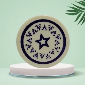 NHD Professional Carrom Striker 910 - Tournament Ready